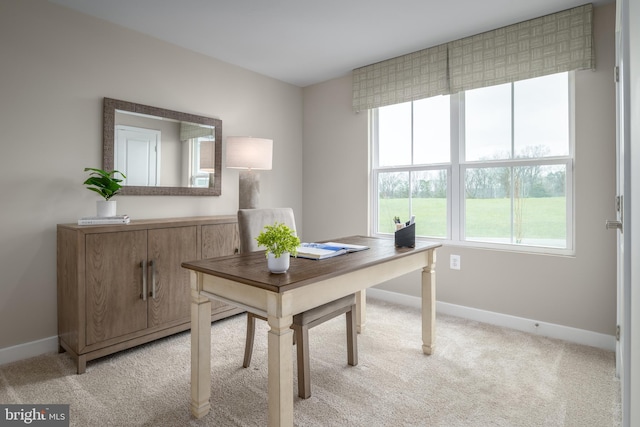 642A Shannon Dr S, Greencastle, PA 17225 - office space with baseboards and light carpet