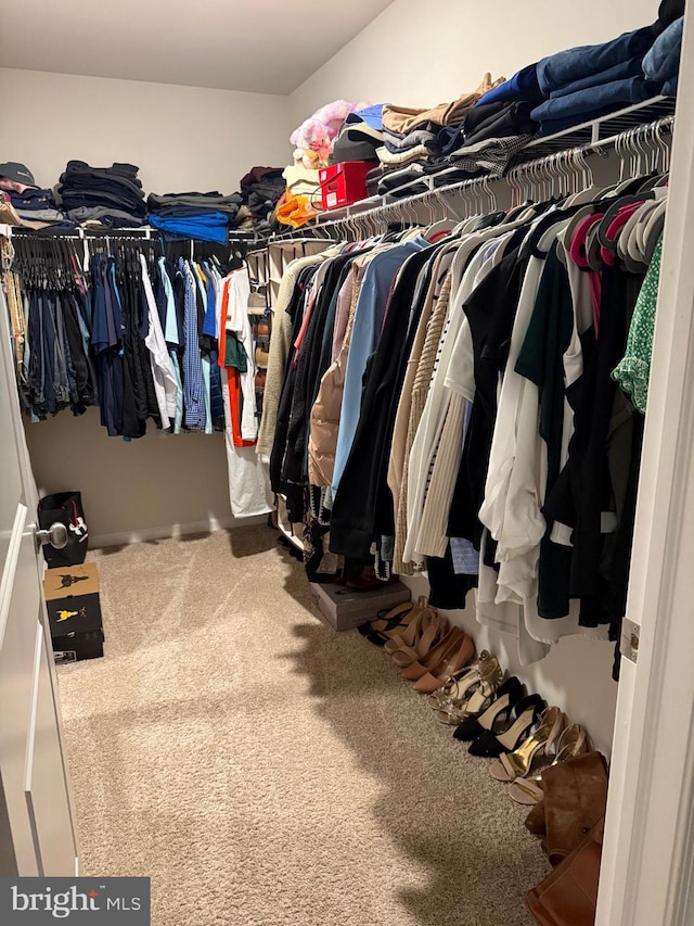 11 Autumn Ln, Egg Harbor Twp, NJ 08234 - spacious closet featuring carpet