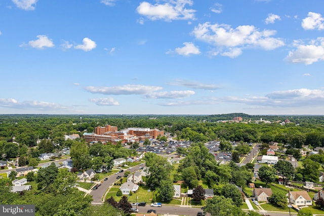 245 Spout Spring Ave, Lumberton, NJ 08048 - bird's eye view of a forest