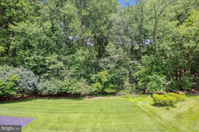 9417 Reach Rd, Potomac, MD 20854 - view of grassy yard