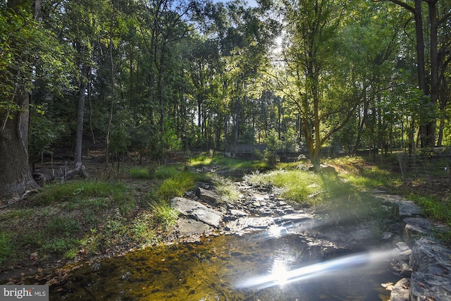 9417 Reach Rd, Potomac, MD 20854 - view of tree filled area
