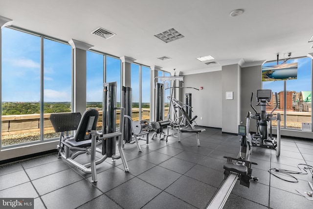 851 N Glebe Rd Unit 1413, Arlington, VA 22203 - exercise room featuring crown molding and a wall of windows