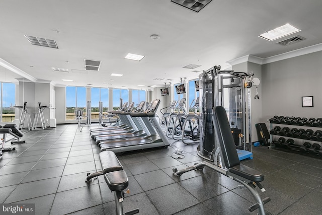 851 N Glebe Rd Unit 1413, Arlington, VA 22203 - workout area featuring floor to ceiling windows, healthy amount of natural light, and crown molding