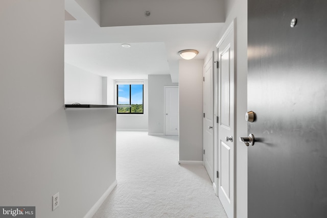 851 N Glebe Rd Unit 1413, Arlington, VA 22203 - corridor with light carpet and baseboards