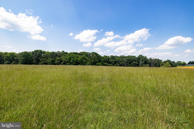 OFF Sunnyview Dr, Rileyville, VA 22650