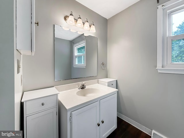 17 Butternut Ln, Hanover, PA 17331 - bathroom with vanity, plenty of natural light, baseboards, and a baseboard radiator