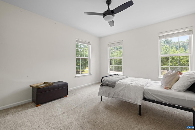 366 Saint Ivy Ave, Troy, VA 22974 - carpeted bedroom with baseboards and ceiling fan
