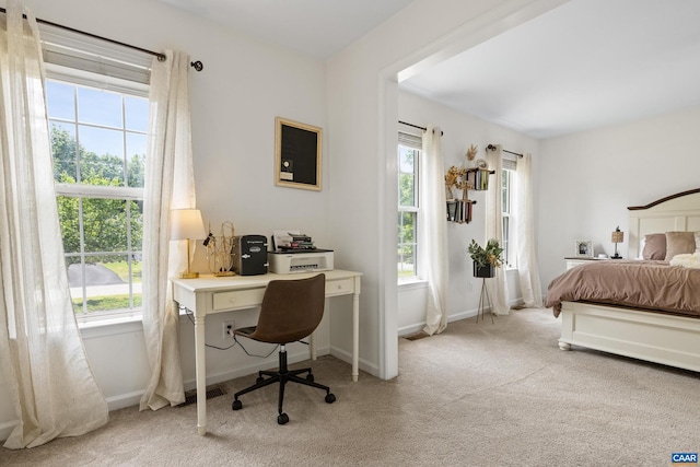 366 Saint Ivy Ave, Troy, VA 22974 - bedroom featuring light colored carpet and an office area