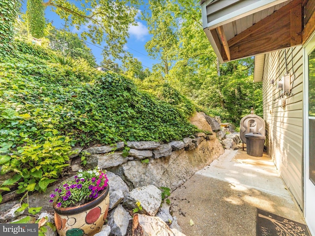 12535 Rockdale Rd, Clear Spring, MD 21722 - view of patio