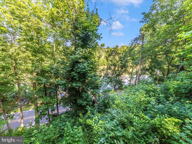 12535 Rockdale Rd, Clear Spring, MD 21722 - view of tree filled area