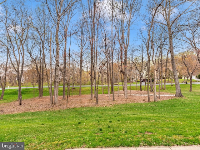 22324 Canterfield Way, Germantown, MD 20876 - view of green lawn