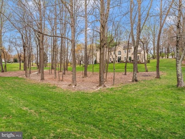 22324 Canterfield Way, Germantown, MD 20876 - view of grassy yard