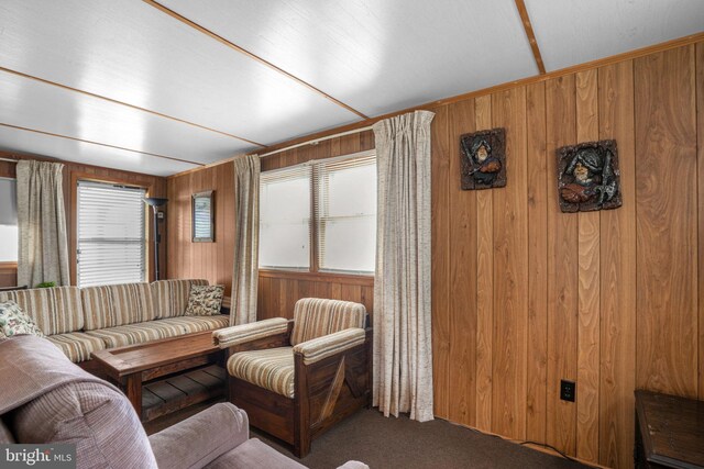 8096 Mire Pond One, Chincoteague Island, VA 23336 - carpeted living room featuring wood walls and healthy amount of natural light
