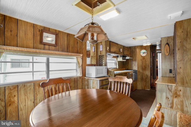 8096 Mire Pond One, Chincoteague Island, VA 23336 - carpeted dining space with wood walls