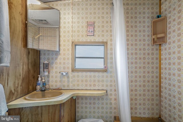 8096 Mire Pond One, Chincoteague Island, VA 23336 - bathroom with vanity