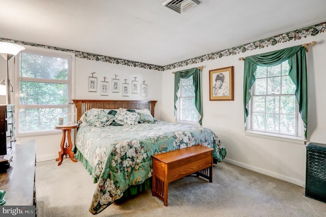 1534 Benton Hollow Rd, Drumore, PA 17518 - bedroom featuring multiple windows and carpet