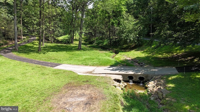 1534 Benton Hollow Rd, Drumore, PA 17518 - view of green lawn