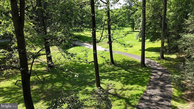 1534 Benton Hollow Rd, Drumore, PA 17518 - view of community featuring a yard and a view of trees