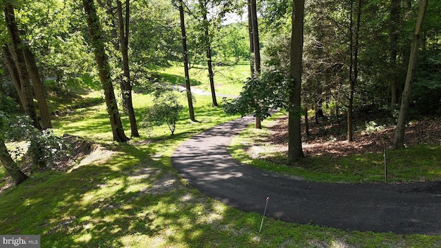 1534 Benton Hollow Rd, Drumore, PA 17518 - view of road