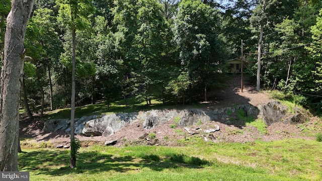1534 Benton Hollow Rd, Drumore, PA 17518 - view of yard