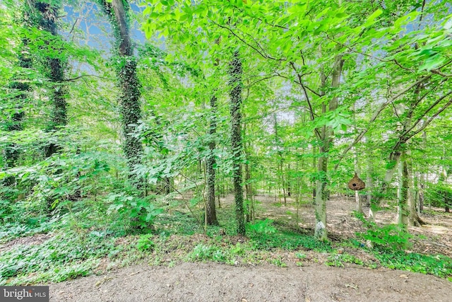 8102 Aspenwood Way, Jessup, MD 20794 - view of nature