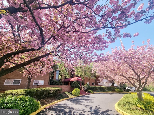46 Township Line Rd Unit 215, Elkins Park, PA 19027 - view of front of home with brick siding