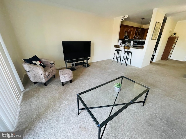 46 Township Line Rd Unit 215, Elkins Park, PA 19027 - living area with carpet flooring