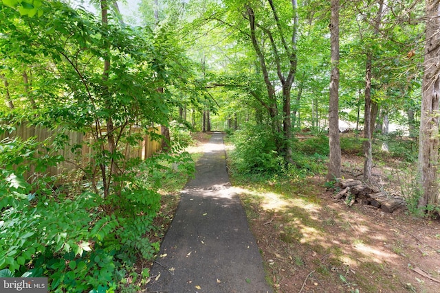 402 Sugarland Run Dr, Sterling, VA 20164 - view of road featuring a forest view