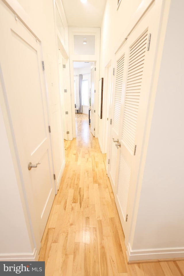 1622 19th St NW Unit 2, Washington, DC 20009 - corridor featuring light wood finished floors