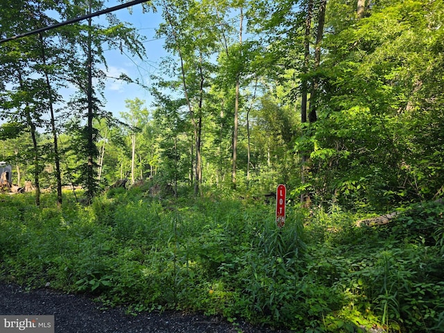 6 Sportsman Rd, Enola, PA 17025