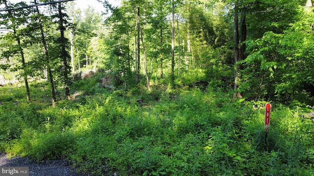 6 Sportsman Rd, Enola, PA 17025