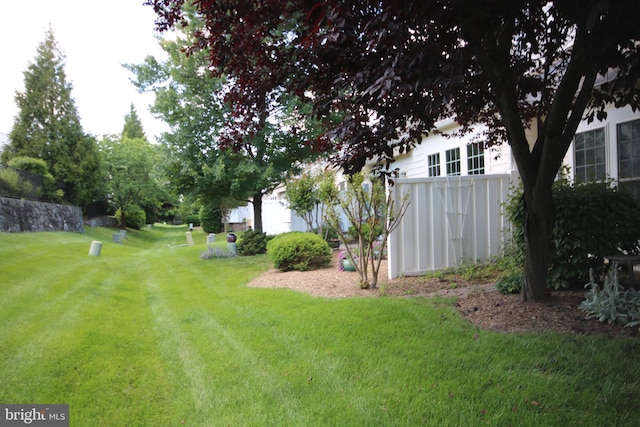 44497 Maltese Falcon Sq, Ashburn, VA 20147 - view of yard