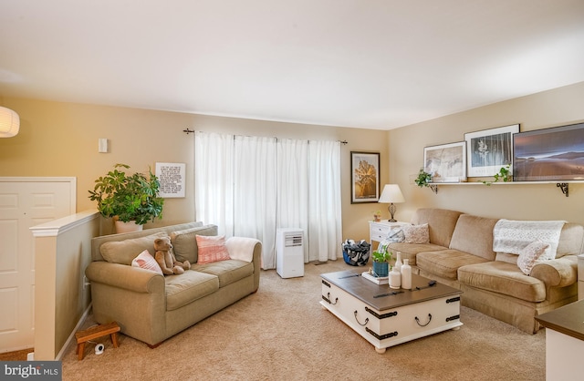1043 Fredrick Blvd, Reading, PA 19605 - living area with carpet flooring