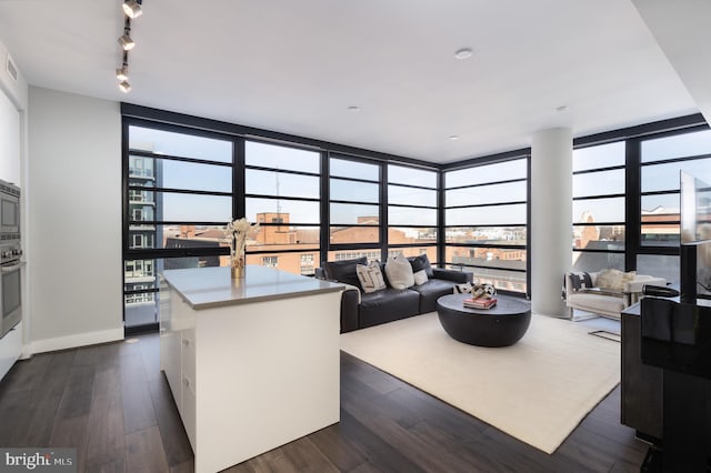 1300 4th St SE Unit 715, Washington, DC 20003 - living area featuring expansive windows, dark wood finished floors, and track lighting