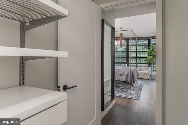 1300 4th St SE Unit 715, Washington, DC 20003 - bathroom featuring wood finished floors and floor to ceiling windows