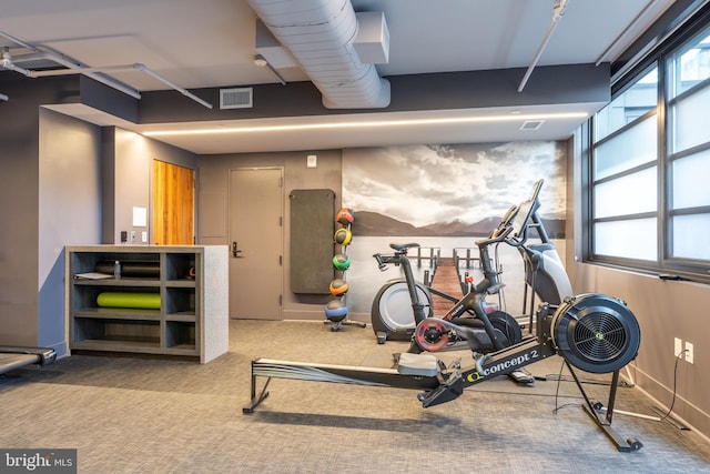 1300 4th St SE Unit 715, Washington, DC 20003 - exercise room with baseboards and carpet floors