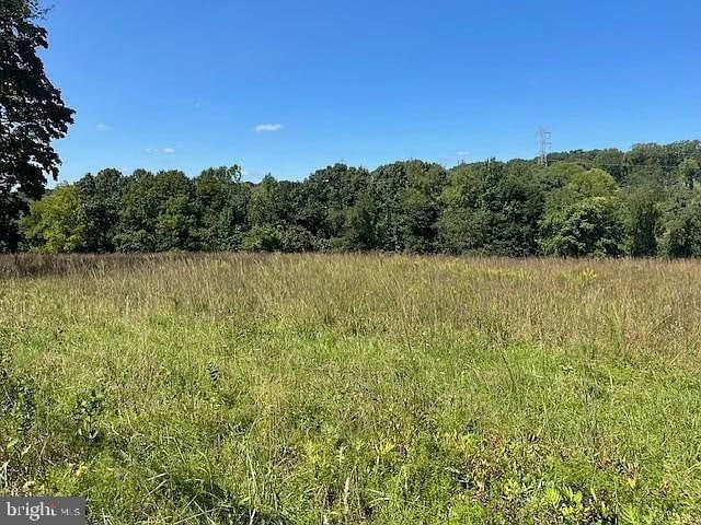 1737 Shadyside Rd Unit Ap, Downingtown, PA 19335 - view of local wilderness