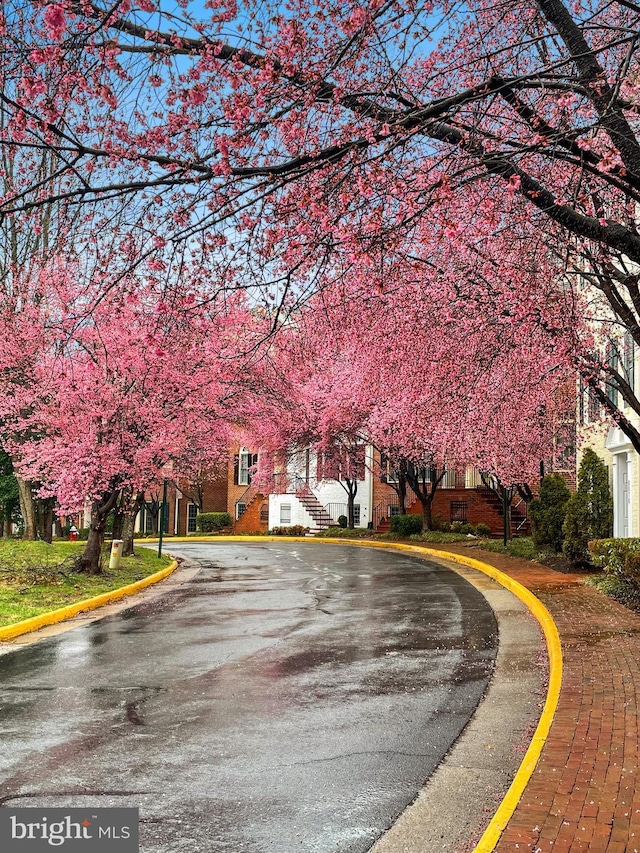 8878 Ashgrove House Ln, Vienna, VA 22182 - view of street featuring curbs