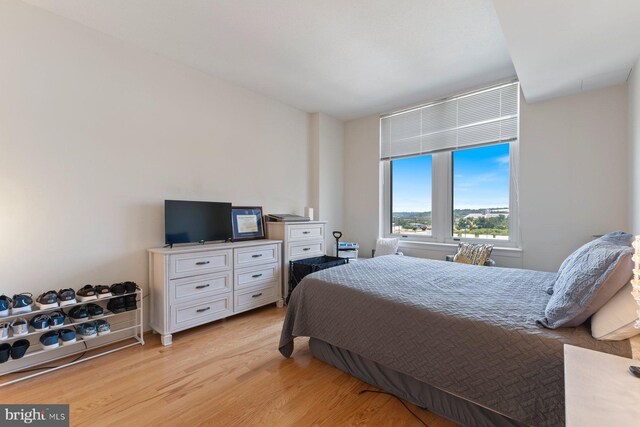 155 Potomac Psge Unit 817, Oxon Hill, MD 20745 - bedroom featuring light wood-style floors
