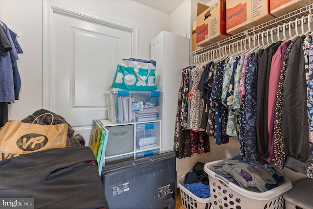 155 Potomac Psge Unit 817, Oxon Hill, MD 20745 - view of walk in closet