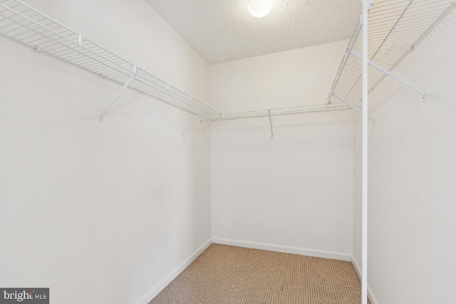 8309 Pigeon Fork Ln, Laurel, MD 20724 - walk in closet with carpet flooring
