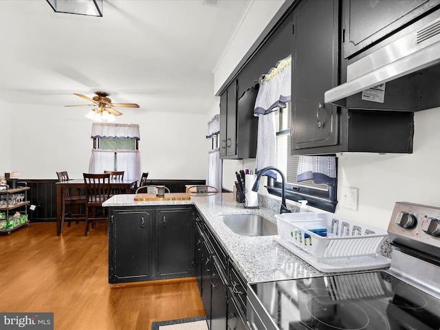 213 S 6th St, Denton, MD 21629 - kitchen with electric stove, dark cabinetry, extractor fan, a ceiling fan, and healthy amount of natural light