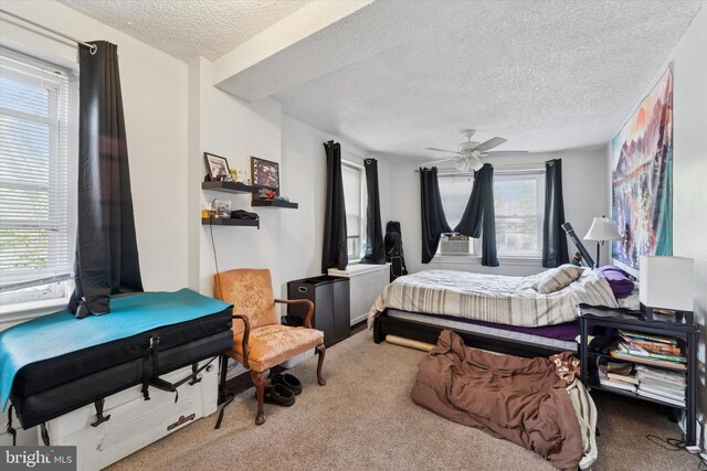 3 W Gowen Ave, Philadelphia, PA 19119 - bedroom featuring a textured ceiling, carpet, and multiple windows