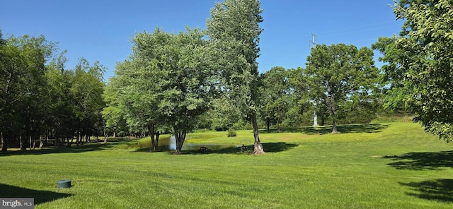 view of home's community with a yard and view of scattered trees