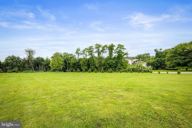2997 Patapsco Rd, Finksburg, MD 21048 - view of grassy yard