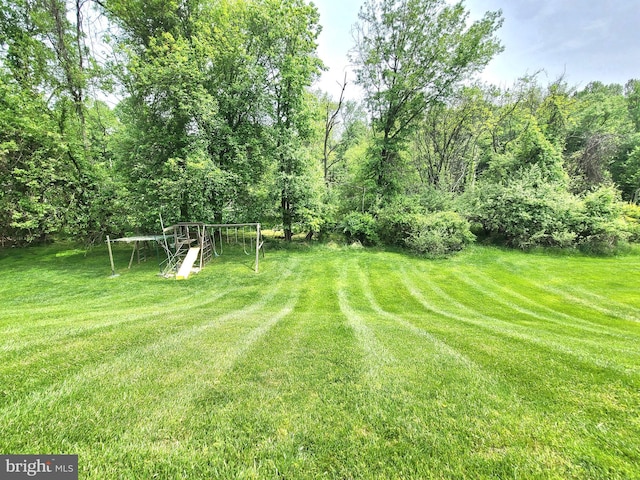 3747 Spring Lake Ln, Owings Mills, MD 21117 - view of grassy yard