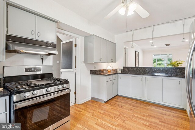 310 SW Dr, Silver Spring, MD 20901 - kitchen with appliances with stainless steel finishes, under cabinet range hood, ceiling fan, light wood-type flooring, and dark stone counters