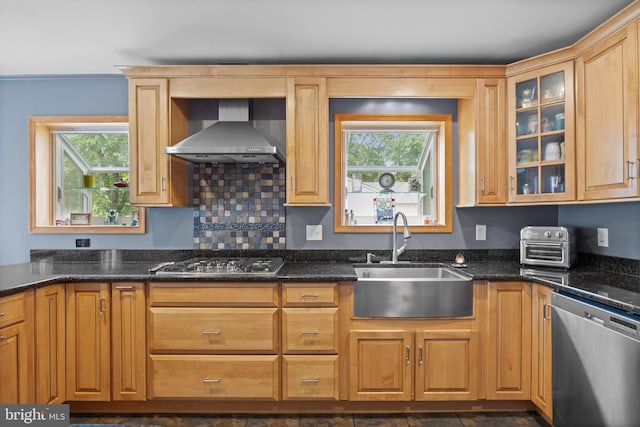 12 Pamela Ct, Jackson, NJ 08527 - kitchen featuring stainless steel appliances, wall chimney range hood, a sink, and healthy amount of natural light