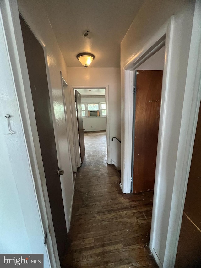 1206 Lakeshore Dr, Camden, NJ 08104 - corridor featuring dark wood-style floors