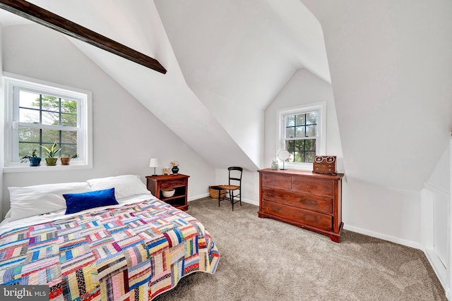 10 Shaw Dr, Kingston, NJ 08528 - bedroom with vaulted ceiling, carpet floors, and multiple windows